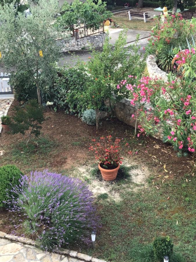 Apartmani Misic Ždrelac Екстериор снимка